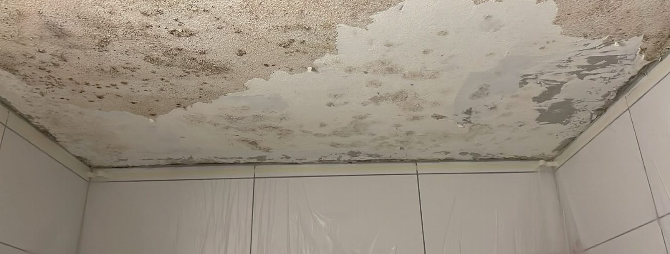 Traitement des moisissures et de l'humidité : G. Pucci SA, Lausanne et canton de Vaud