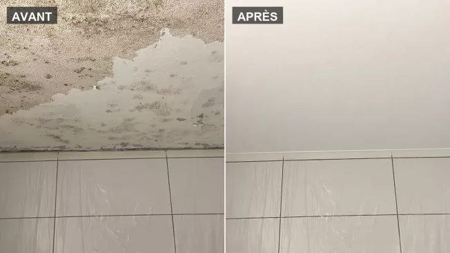 Plafond de salle de bains envahi de moisissures noires, puis assaini et repeint en blanc