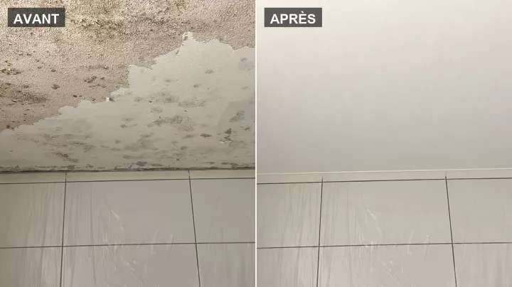 Plafond de salle de bains envahi de moisissures noires, puis assaini et repeint en blanc