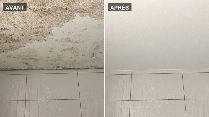 Plafond de salle de bains envahi de moisissures noires, puis assaini et repeint en blanc