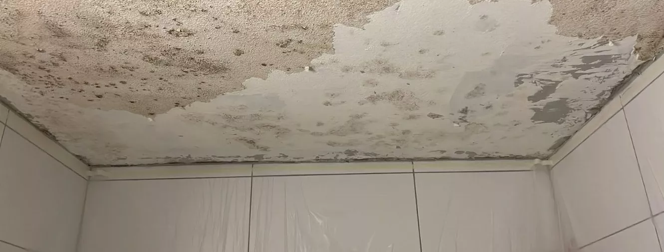Traitement des moisissures et de l'humidité — G. Pucci SA, Lausanne et canton de Vaud