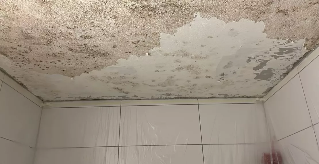 Plafond de salle de bains envahi de moisissures avant traitement par G. Pucci SA