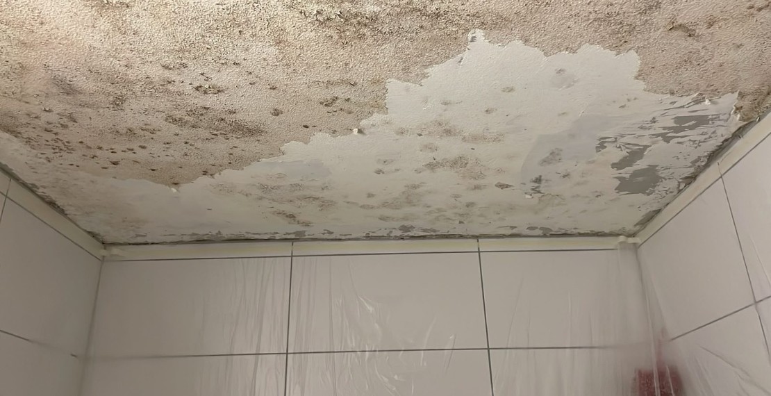 Plafond de salle de bains envahi de moisissures avant traitement par G. Pucci SA